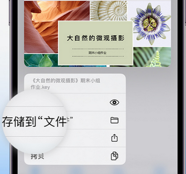 威宁apple维修中心分享iPhone文件应用中存储和找到下载文件