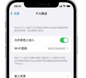 威宁apple服务站点分享iPhone上个人热点丢失了怎么办 