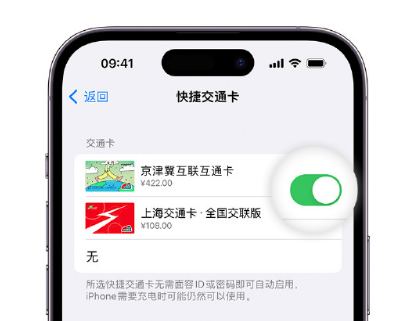 威宁apple维修点分享iPhone上更换Apple Pay快捷交通卡手绘卡面 