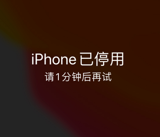 威宁苹果手机维修分享:iPhone 显示“不可用”或“已停用”怎么办？还能保留数据吗？ 