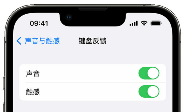 威宁苹果手机维修分享iPhone 14触感键盘使用方法 