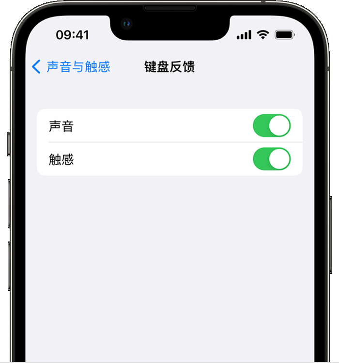 威宁苹果14维修店分享如何在 iPhone 14 机型中使用触感键盘 