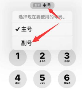 威宁苹果14维修店分享iPhone 14 Pro Max使用副卡打电话的方法 