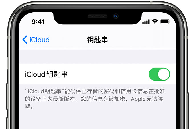 威宁苹果手机维修分享在 iPhone 上开启 iCloud 钥匙串之后会储存哪些信息 