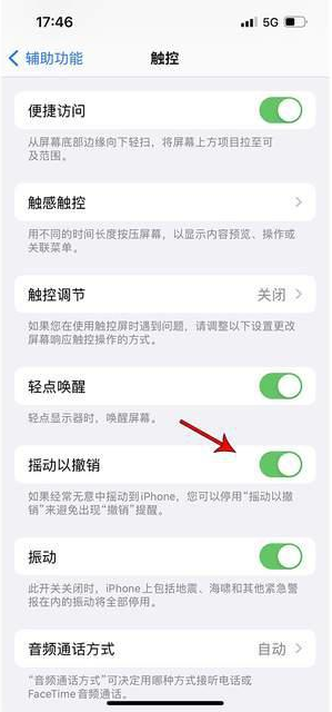 威宁苹果手机维修分享iPhone手机如何设置摇一摇删除文字 