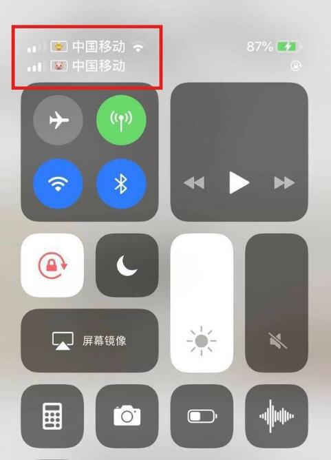 威宁苹果手机维修分享为 iPhone 12 双卡设置标签 