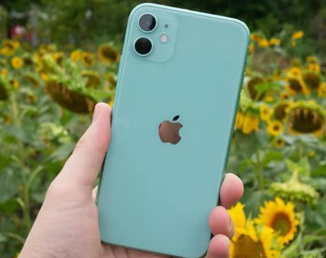 威宁苹果维修点分享iPhone 11锁屏密码认知与使用科普 
